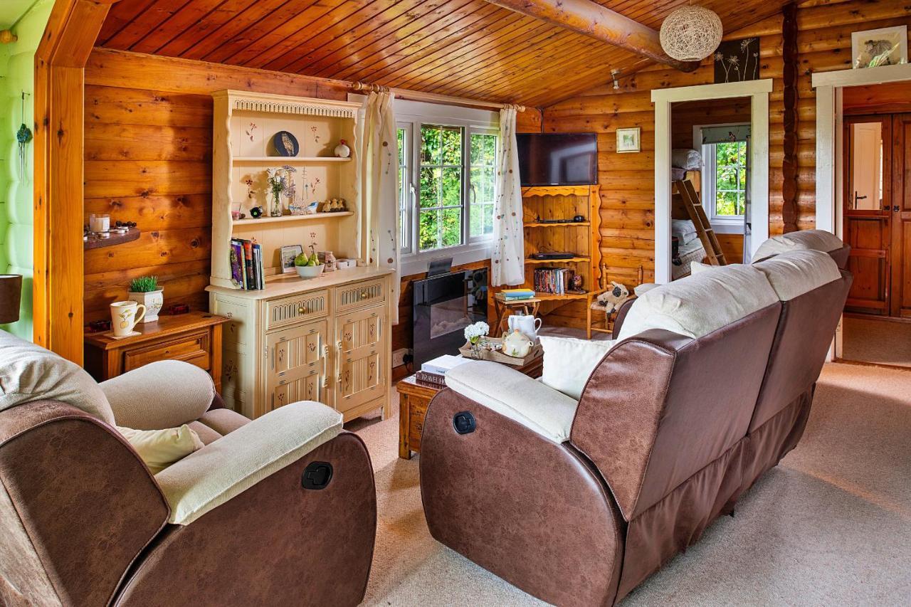 Trawsfynydd Finest Retreats - Mountain Viewヴィラ エクステリア 写真