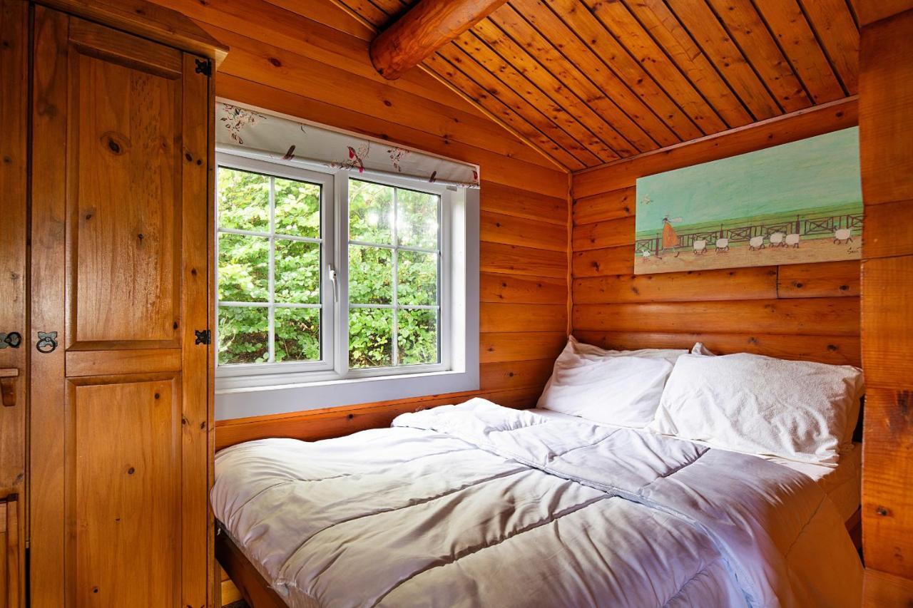 Trawsfynydd Finest Retreats - Mountain Viewヴィラ エクステリア 写真